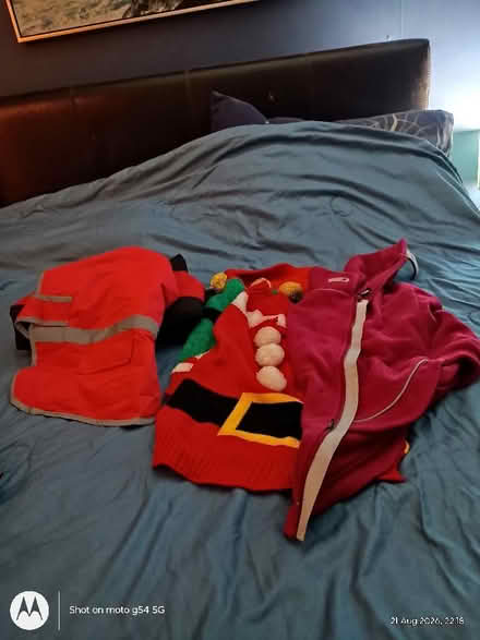 Photo of free DOG Attire (Drylaw EH4) #1