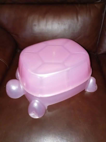 Photo of free Turtle potty and toilet training seat (Barry CF62) #2