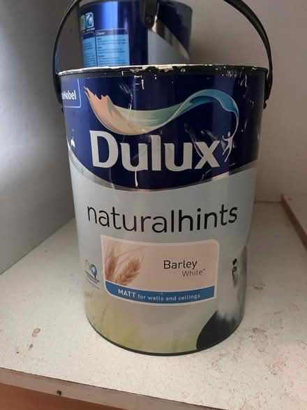 Photo of free Paint (Peckham Rye SE22) #1