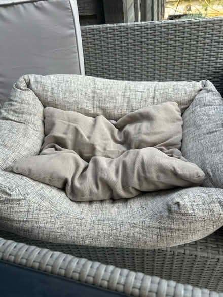 Photo of free Dog bed (Templars Square OX4 4) #1