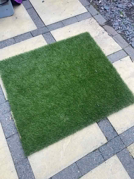 Photo of free 3 X off it's of artificial grass (Godley SK14) #1