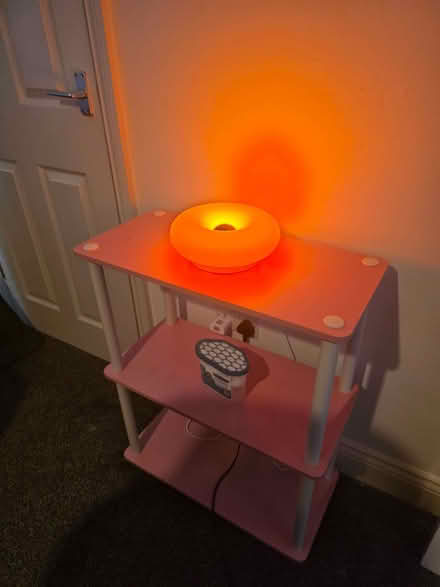 Photo of free Pink shelves (Blackbird Leys OX4) #1