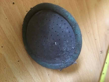 Photo of free Vintage rubber watering can rose (B62 near Blackheath) #1
