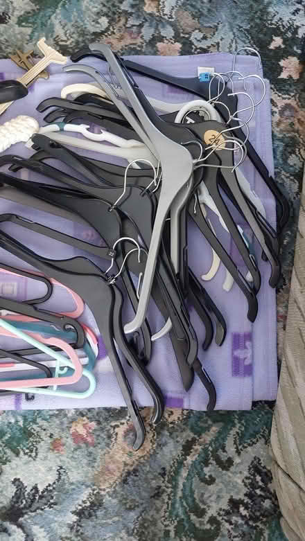 Photo of free selection of hangers (dorset BH12) #3