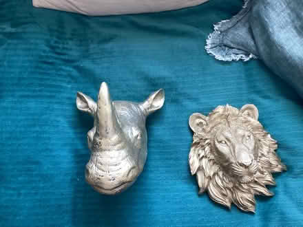 Photo of free Lion - Rhino (South Shields NE34) #1