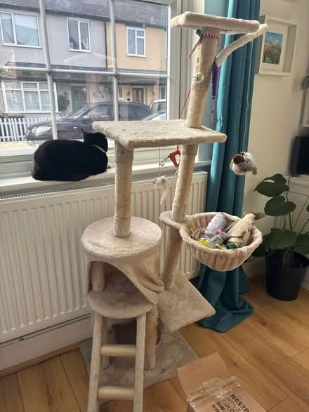 Photo of free Cat tower (En6 2ra) #1