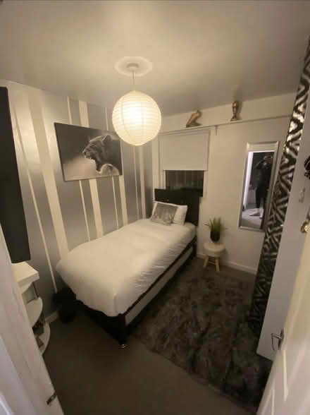 Photo of free Trundle single bed with guest bed (Bath Road WR5) #2