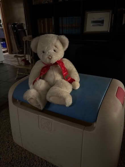 Photo of free Toy box (North Springfield) #2