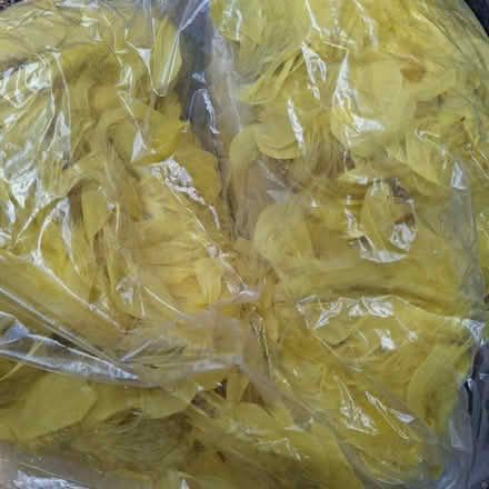 Photo of free Long Yellow Feather Boa (CB4 3) #1