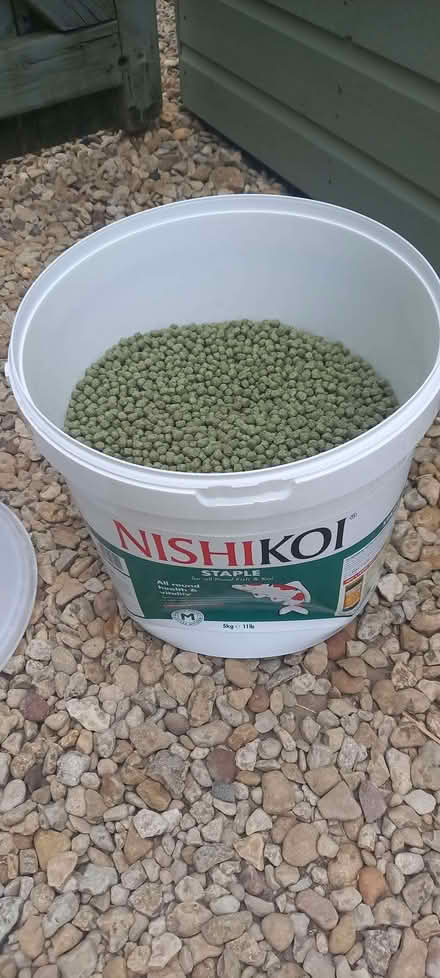 Photo of free Pond fish food (Crawley OX29) #2