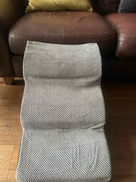 Photo of free Dog or cat step (Hampton TW12) #1