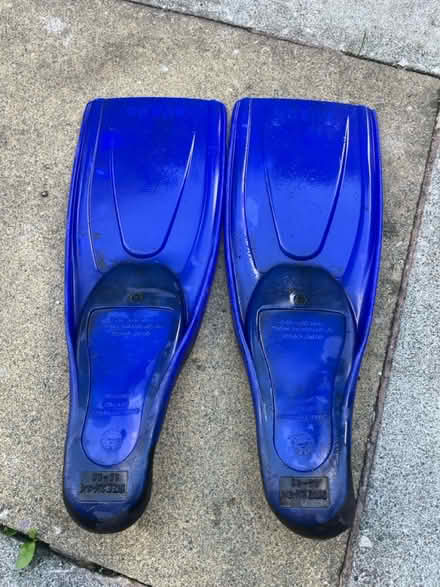 Photo of free Flippers (Walton L9) #2