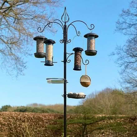 Photo of Bird feeder (Harpur Hill SK17) #1