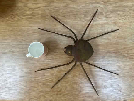 Photo of free Large steel spider (Lodge Moor S10) #1