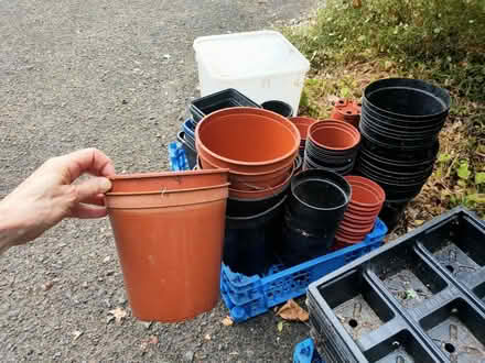 Photo of free Plastic pots and seed trays (Leatherhead KT22) #3
