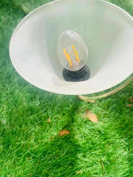 Photo of free Ceiling lights (High Wycombe) #3