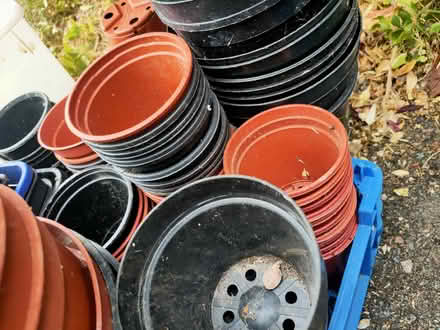 Photo of free Plastic plant pots and seed trays various sizes and colours (Leatherhead KT22) #1