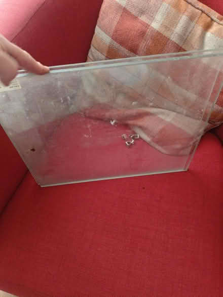 Photo of free IKEA kalax glass shelves (Billericay - Sunnymede CM11) #1