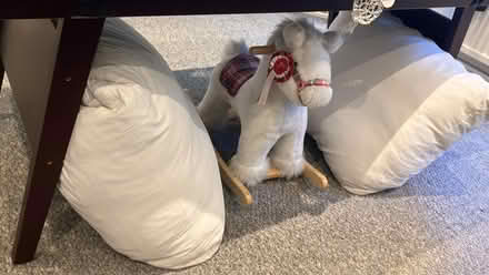 Photo of free Cushions and rocking horse (W6 7PJ) #4