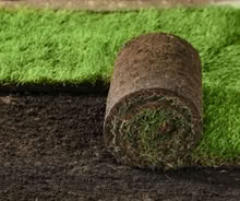 Photo of 24 x 18" piece of lawn turf (Southfields SW19) #1