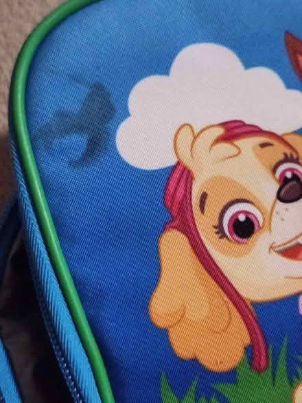 Photo of free Paw Patrol lunch box (Castlefield HP12) #4