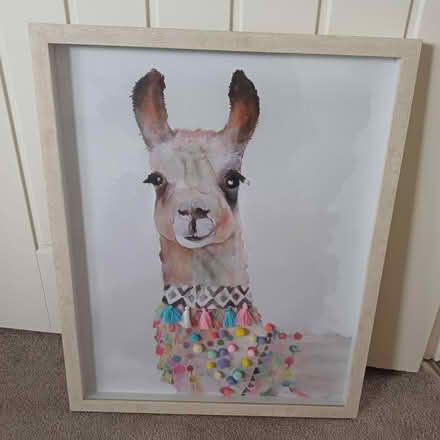 Photo of free Lama picture #2 (BN18 fontwell) #1