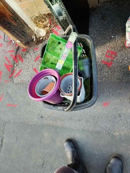 Photo of free Even more plant pots (Scarborough) #1