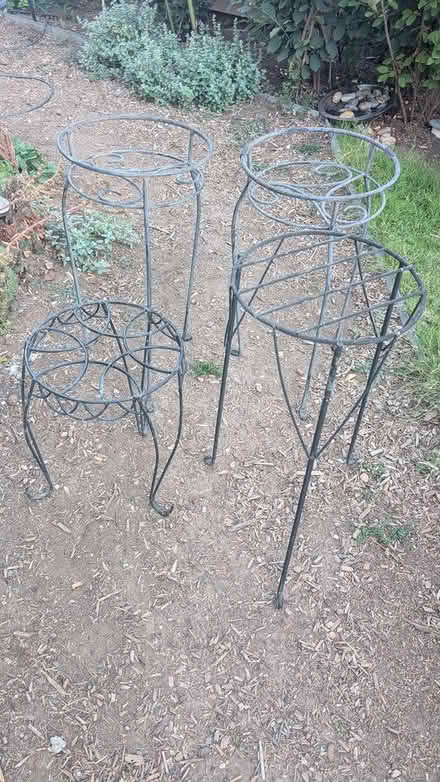 Photo of free metal plant stands (Barnum West) #1