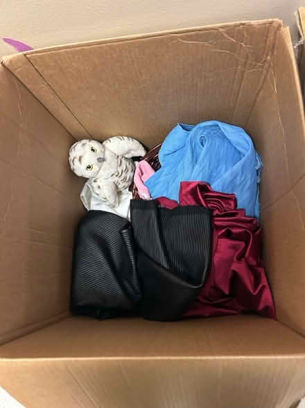 Photo of free Stuffed animals, costumes (Beverly Grove in Los Angeles) #3