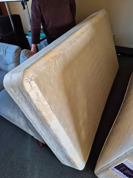 Photo of free King Single Bed (East Tamaki) #2