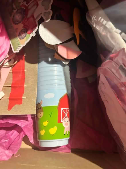 Photo of free Baby/Tdlr Farm Birthday Decorations (Morris Plains) #4