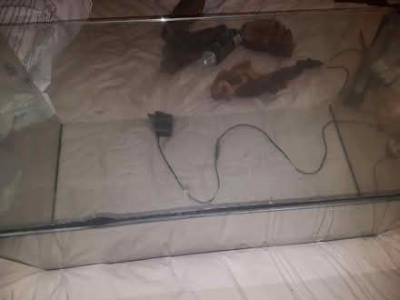 Photo of free fish tank (portslade BN41) #1
