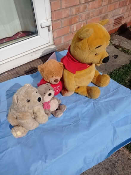 Photo of free Soft toys (Sale WA14) #2