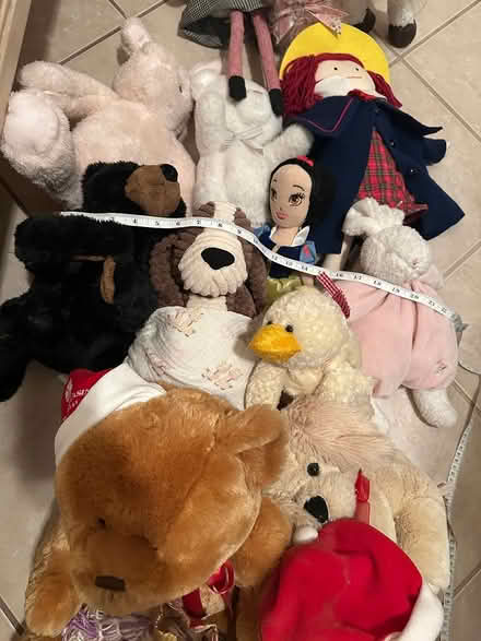 Photo of free Used Stuffed Toys (Century park, cathedral city) #4