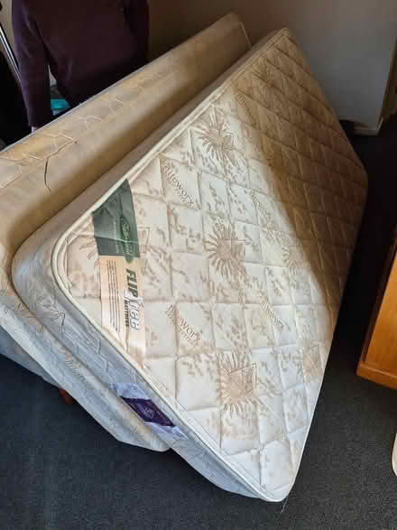 Photo of free King Single Bed (East Tamaki) #3