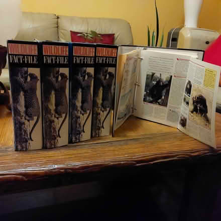 Photo of free Fan and Animal Fact Files (Camperdown 2050) #2