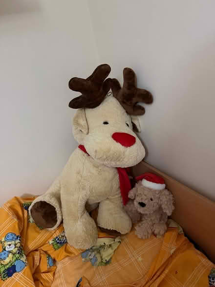 Photo of free soft toys (ealing W5) #1