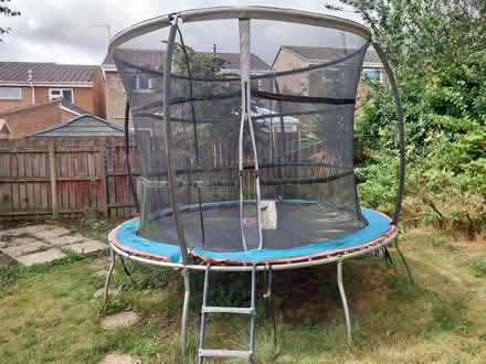 Photo of free Trampoline (Brandon DH7) #1