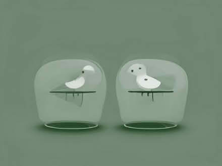Photo of free A pair of Lovebirds approx 6 months old, with cage and bits (Llanfair Caereinion SY21) #1