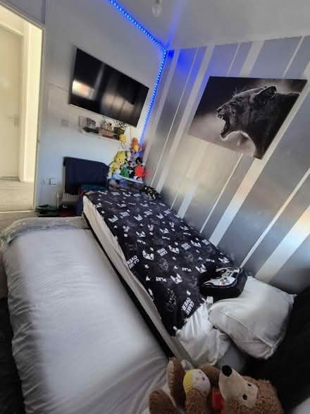 Photo of free Trundle single bed with guest bed (Bath Road WR5) #3