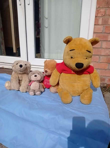 Photo of free Soft toys (Sale WA14) #1