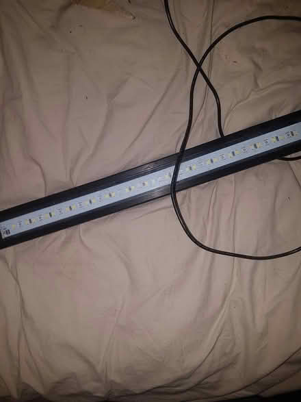 Photo of free fish tank (portslade BN41) #3
