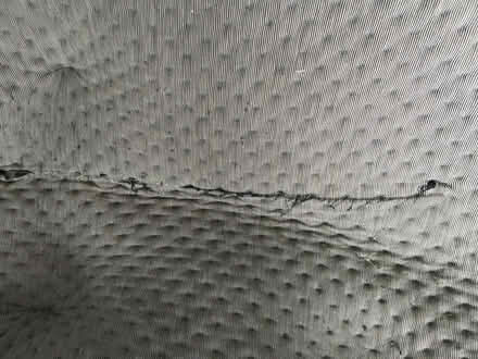Photo of free Genuine Ligne Roset Ploum 3 sofa (Islington, N19) #4
