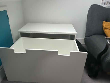 Photo of free IKEA toy trunk 90x50x50 (Reigate RH2) #2