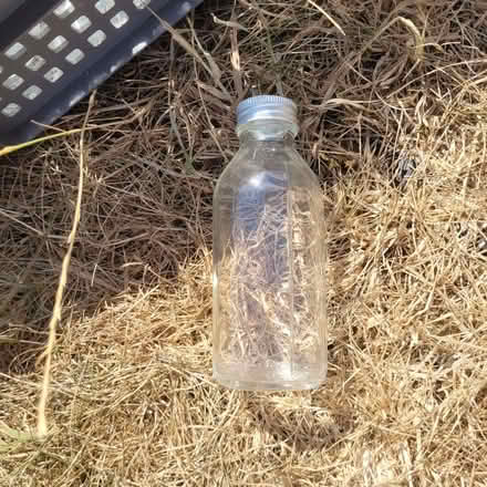 Photo of free 300 ml bottles with screw tops (Horsley GL6) #1