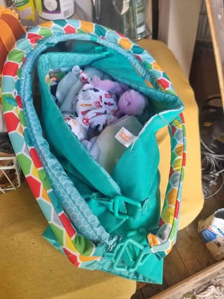 Photo of free Baby play mat and bath with newborn insert and stand (Fulham Palace Rd W6) #3