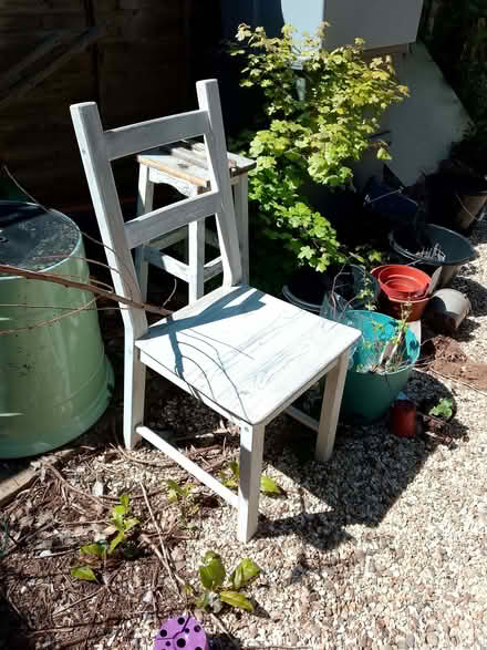 Photo of free 4 IKEA chairs (New Catton NR3) #1