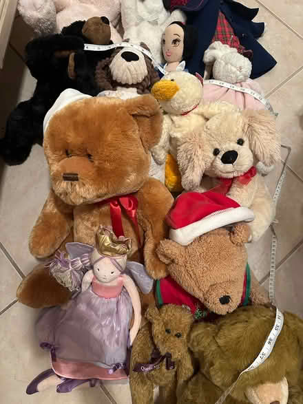 Photo of free Used Stuffed Toys (Century park, cathedral city) #2