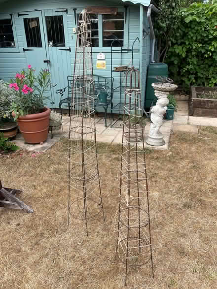 Photo of free Plant climbers (Woodley RG5) #2
