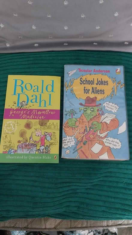 Photo of free x2 childrens books (dorset BH12) #1